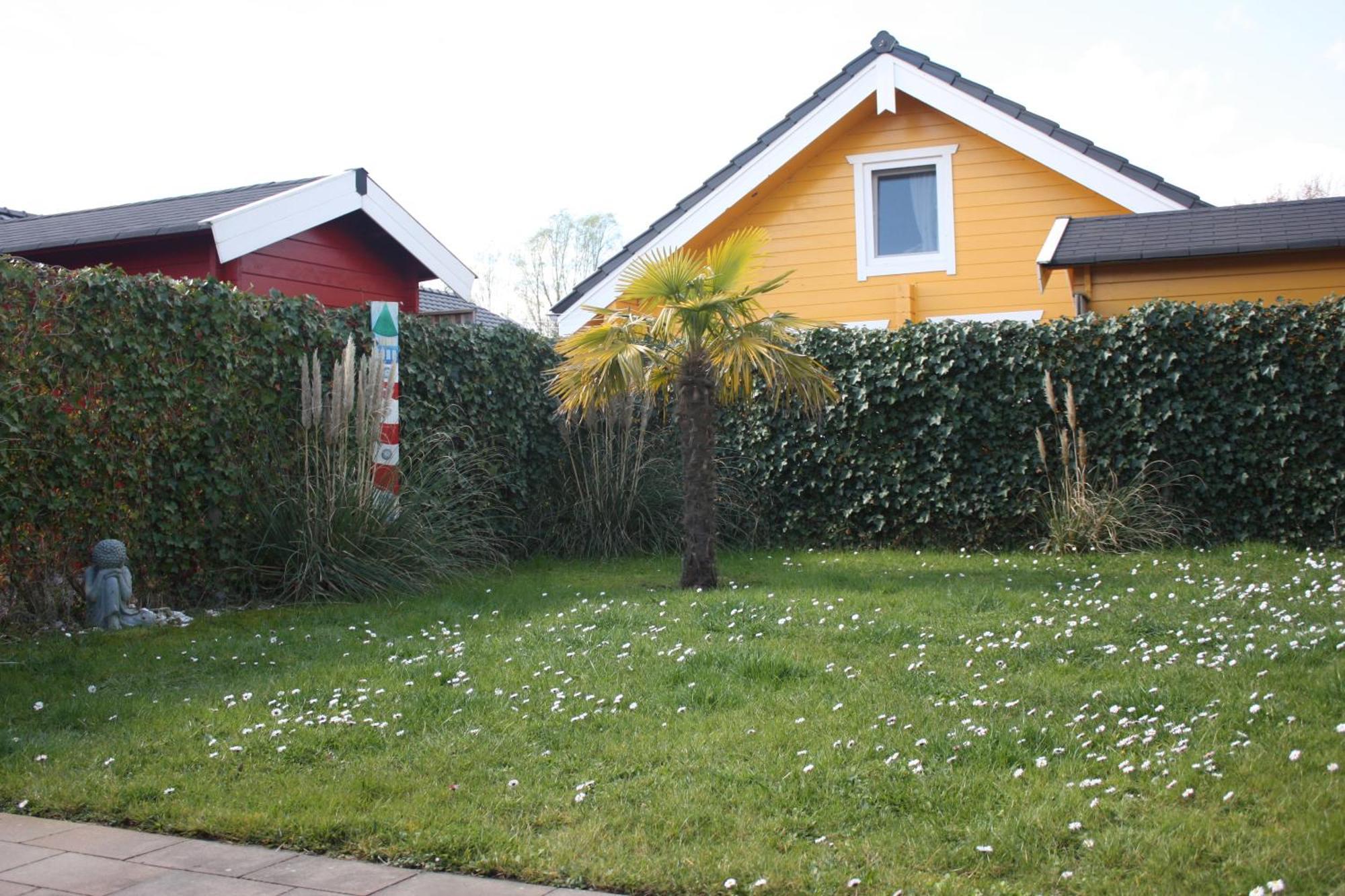 Villa Emilia - Gemuetliches Kinderfreundliches Blockhaus Mit Umzaeuntem Garten Sint Annaland Exterior photo